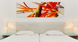 Room
Room
di Dorisol Estrelicia