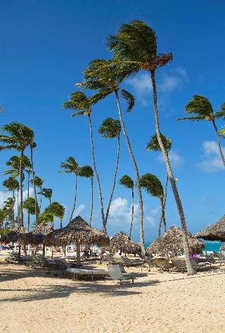 Beach
Beach
di Paradisus Punta Cana Resort