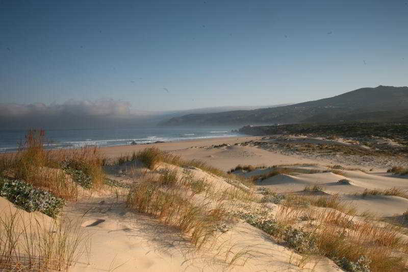 Beach
Beach
di Vila Bicuda