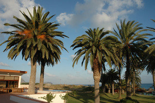 General view
General view
di Porto Santo Hotel & Spa