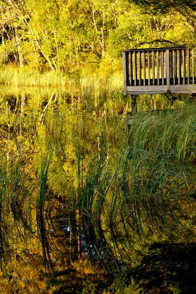 General view
General view
di Loch Kinord Hotel