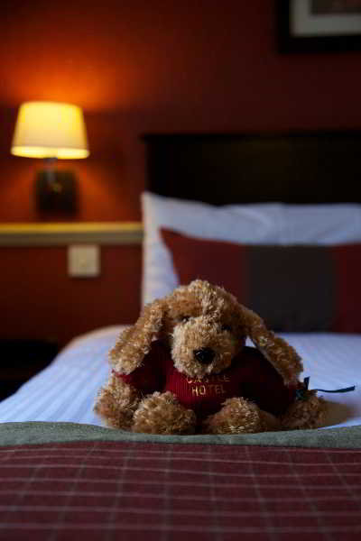 Room
Room
di Stonefield Castle