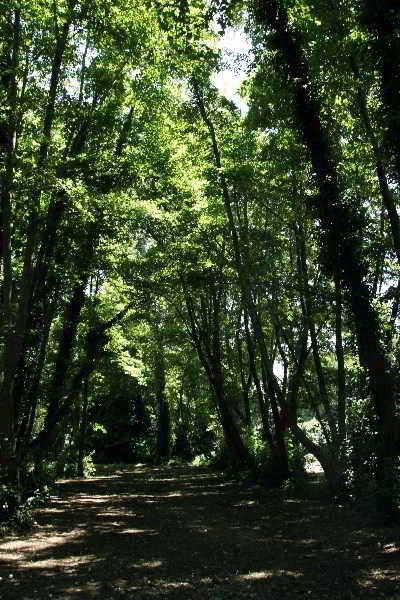 General view
General view
di Versilia Holidays Hotel
