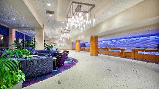 Disneyland hotel, 
Anaheim, United States.
The photo picture quality can be
variable. We apologize if the
quality is of an unacceptable
level.
