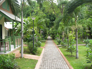 General view
 di The Pattaya Garden