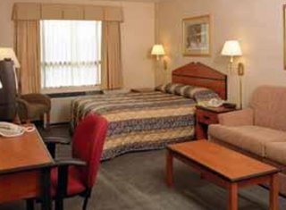 Room
 di Comfort Inn & Suites Logan-Airport
