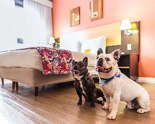 Room
Room
di Comfort Porto Alegre