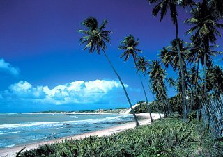 Beach
Beach
di Pestana Natal All Inclusive