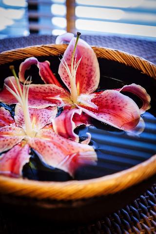 Sports and Entertainment
Sports and Entertainment
di Hilton Dubai Jumeirah Resort