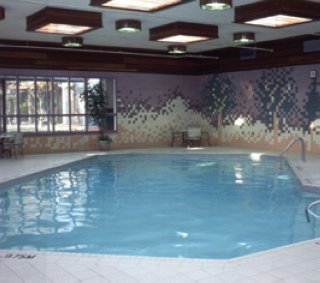Pool
 di Toronto Plaza Airport Hotel-formelyDays Hotel &Con