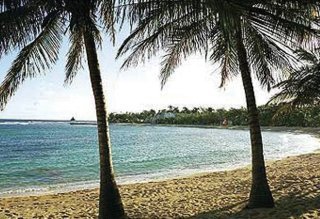 Beach
Beach
di Half Moon