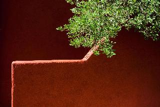 DoubleTree by Hilton Santa Fe