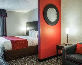 Comfort Suites Nashville Airport - Bna