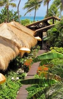 Sports and Entertainment
Sports and Entertainment
di Manchebo Beach Resort & Spa