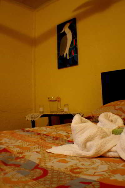 LODGE ILAN ILAN CARIBBEAN LODGE Limón - Costa Del Caribe / Tortuguero