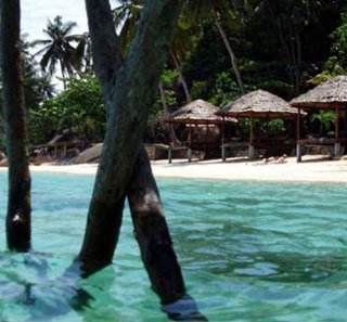 Beach
 di Japamala Resort Tioman Island