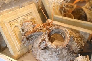 Restaurant
Restaurant
di Villa Rustica Dalmatia