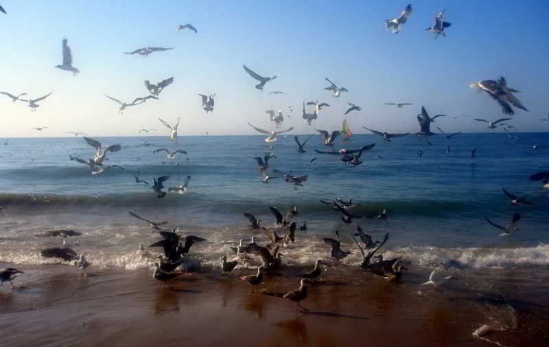 Beach
Beach
di Leo Velamayor