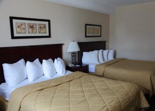 Room
 di Comfort Hotel & Suites Peterborough