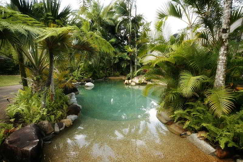 Pool
 di Ferntree Rainforest Lodge