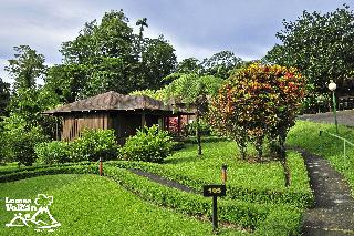 General view
General view
di Lomas del Volcan