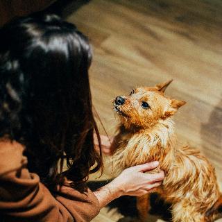 Room
Room
di Petit Palace Tamarises