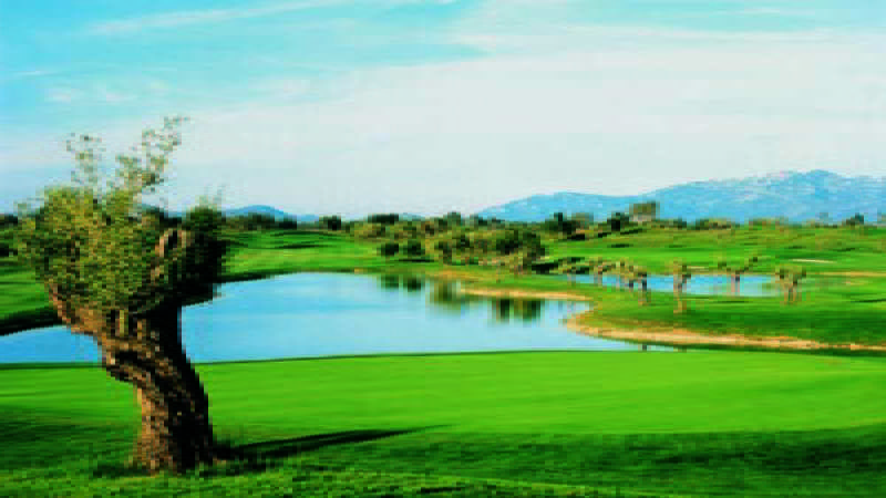 Sports and Entertainment
Sports and Entertainment
di Villages Golf Panoramica