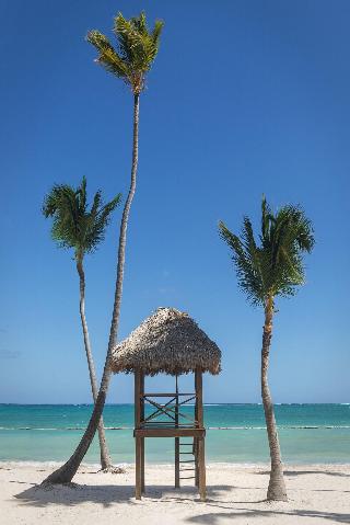 Beach
Beach
di Dreams Palm Beach Punta Cana All Inclusive