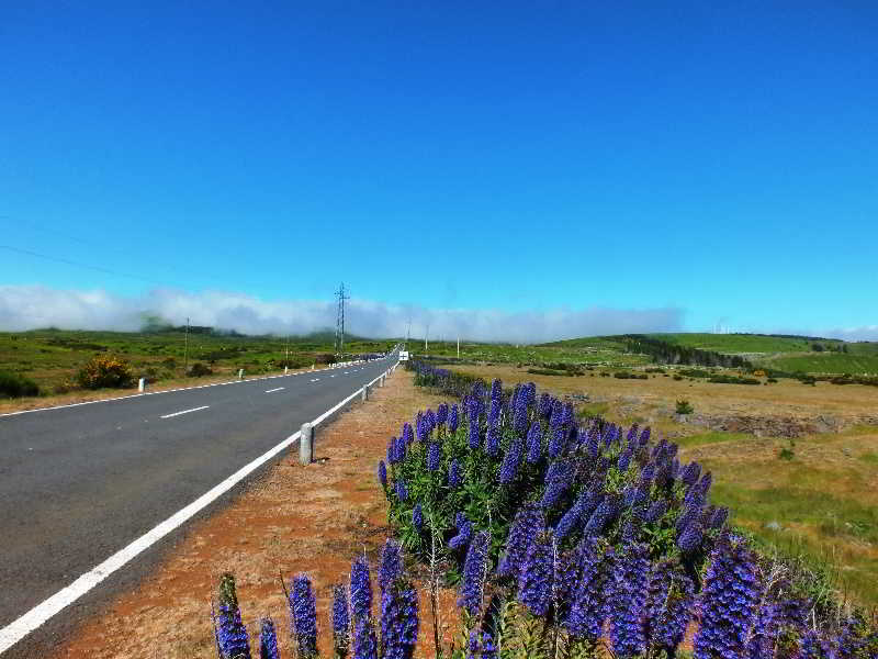 Sports and Entertainment
Sports and Entertainment
di Pico da Urze