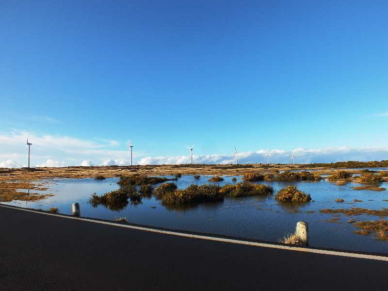 Sports and Entertainment
Sports and Entertainment
di Pico da Urze