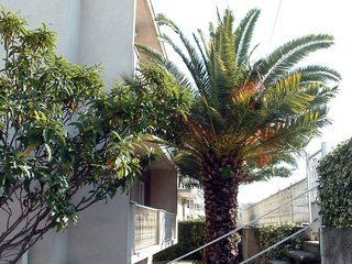 General view
General view
di Katija Apartamenti