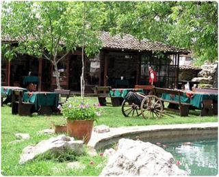 Terrace
Terrace
di Izvora Complex