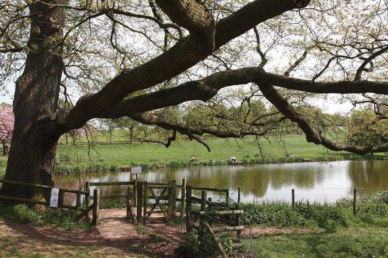 General view
General view
di Best Western Manor House