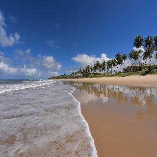 Beach
Beach
di Iberostar Praia do Forte All Inclusive