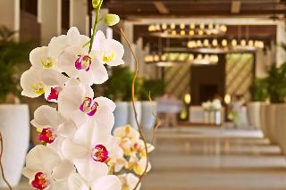 Lobby
Lobby
di Hyatt Regency Aruba Resort & Casino