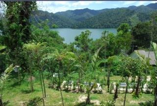 General view
 di Belum Rainforest Resort