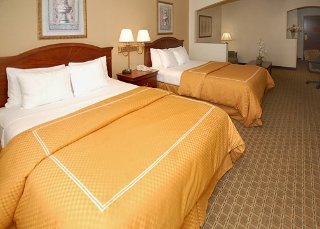 Room
 di Comfort Suites (Southaven)