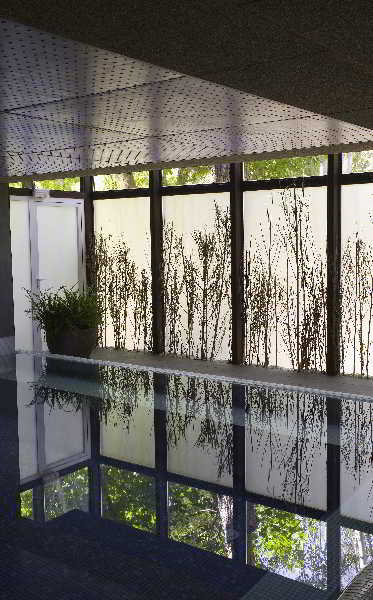 Pool
Pool
di Balneario Sicilia