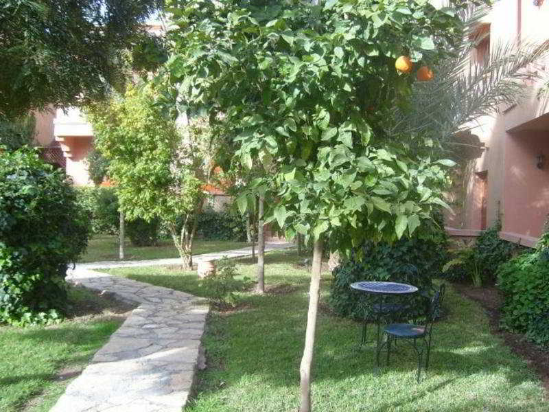 Terrace
Terrace
di Le Fint