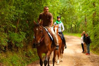 Sports and Entertainment
Sports and Entertainment
di Agriturismo Montebelli