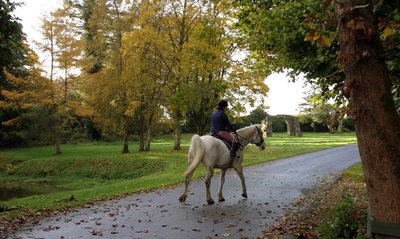 Sports and Entertainment
Sports and Entertainment
di Beech Hill Country House Hotel