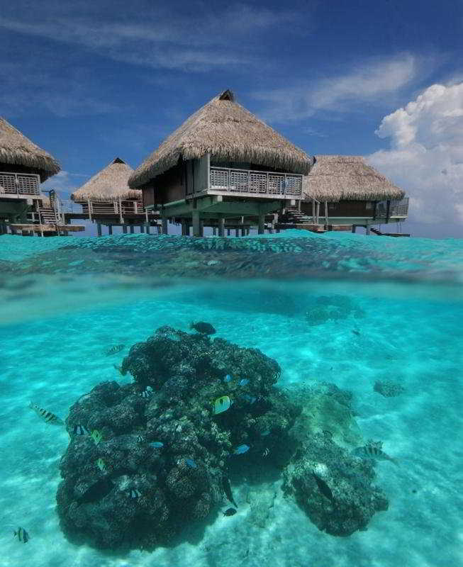 General view
General view
di Hilton Moorea Lagoon Resort & Spa