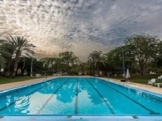 Pool
Pool
di Kibbutz Kalia Holiday Village