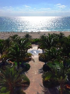 General view
 di Canyon Ranch Hotel & Spa Miami Beach