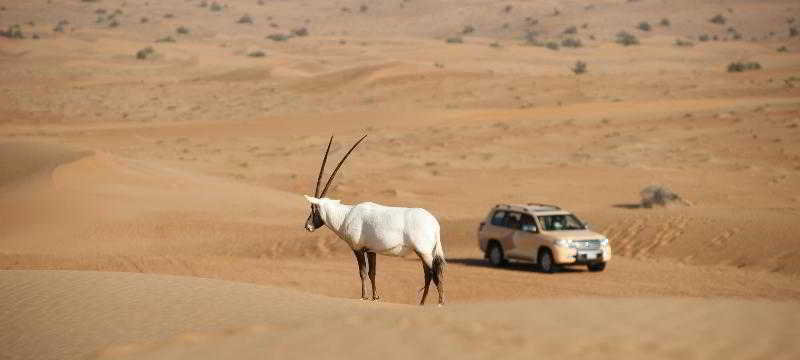 General view
General view
di Al Maha Desert Resort & Spa