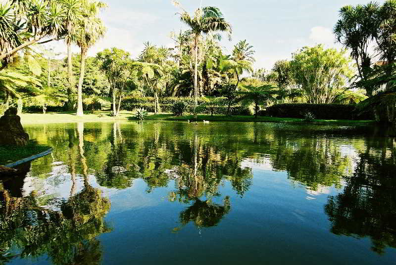 General view
General view
di Quinta Nasce Agua