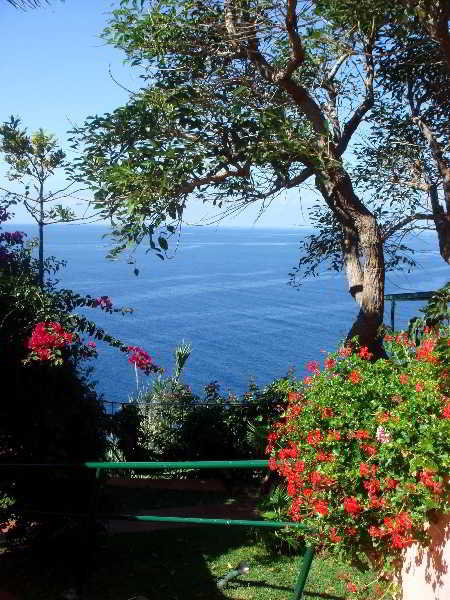 Terrace
Terrace
di Inn & Art Hotel Gallery