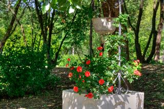 Terrace
Terrace
di Park Hotel Junior