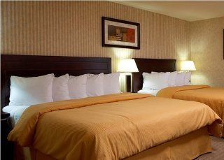Room
 di Quality Hotel & Suites