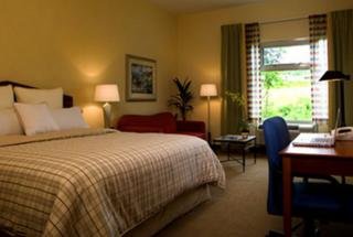 Room
Room
di Four Points by Sheraton Caguas Real